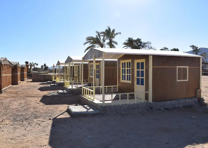 Sina Star Camp Kamp alanı