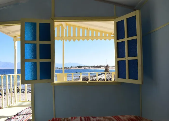 Sina Star Camp Kamp alanı