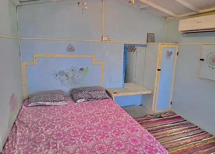 Sina Star Camp Kamp alanı *