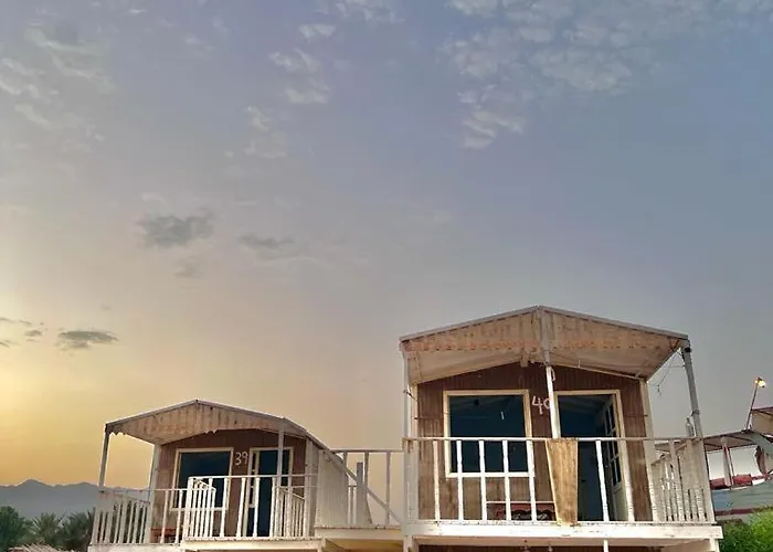 Sina Star Camp *