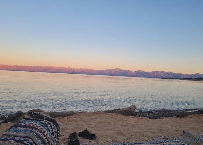 Kamp alanı Sina Star Camp