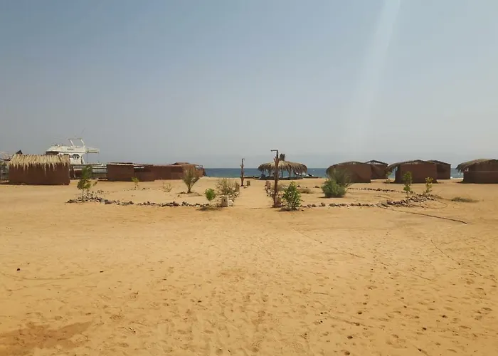 Kamp alanı Sina Star Camp *
