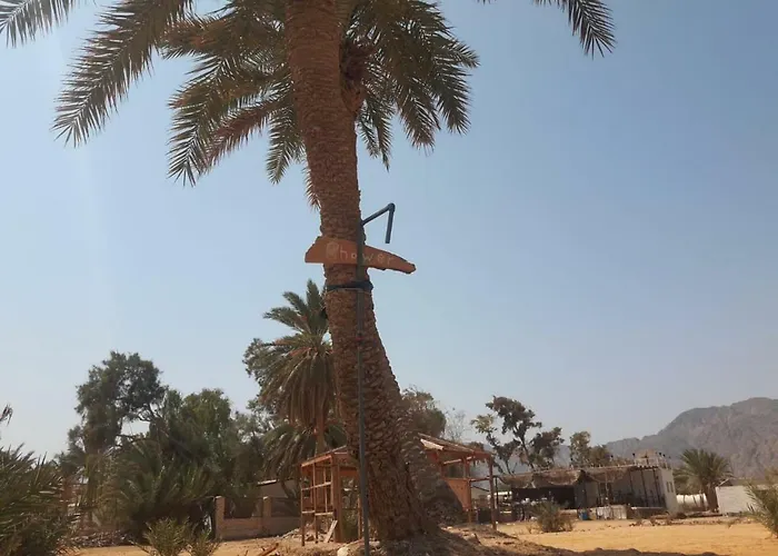 Sina Star Camp * Nuweiba`