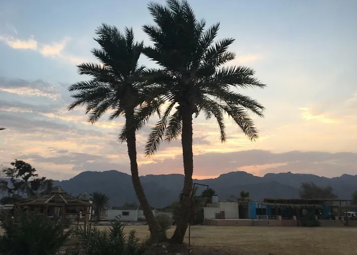 Sina Star Camp Kamp alanı *