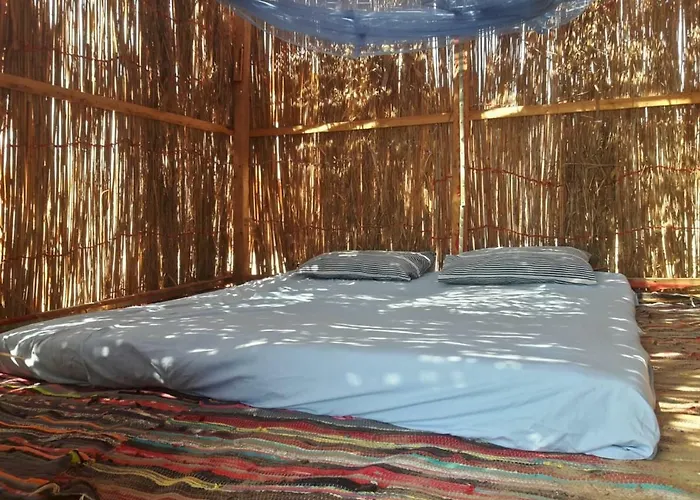 Sina Star Camp