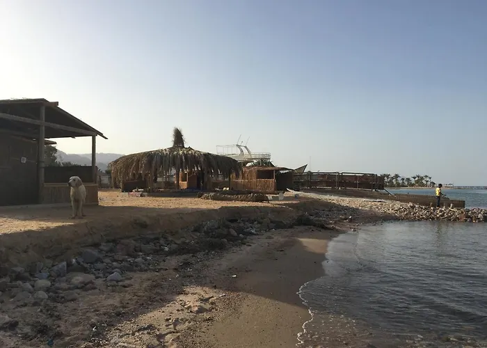 Sina Star Camp Kamp alanı *